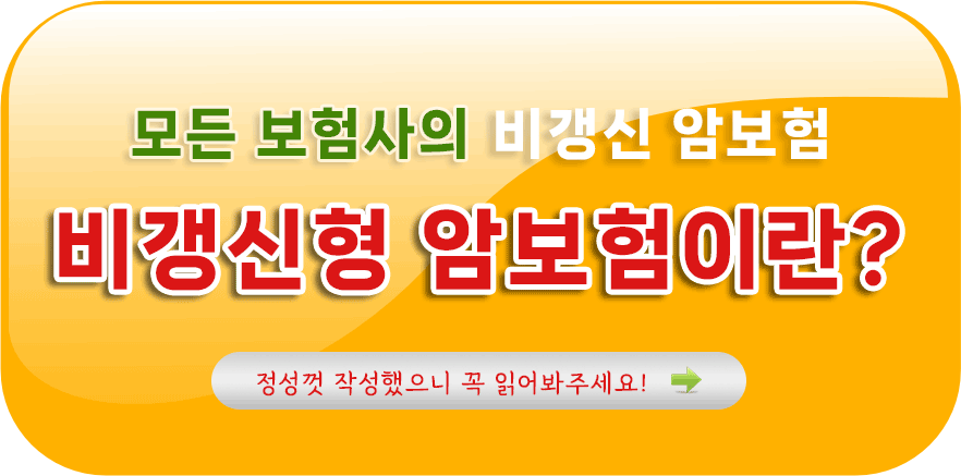 암보험비갱신형